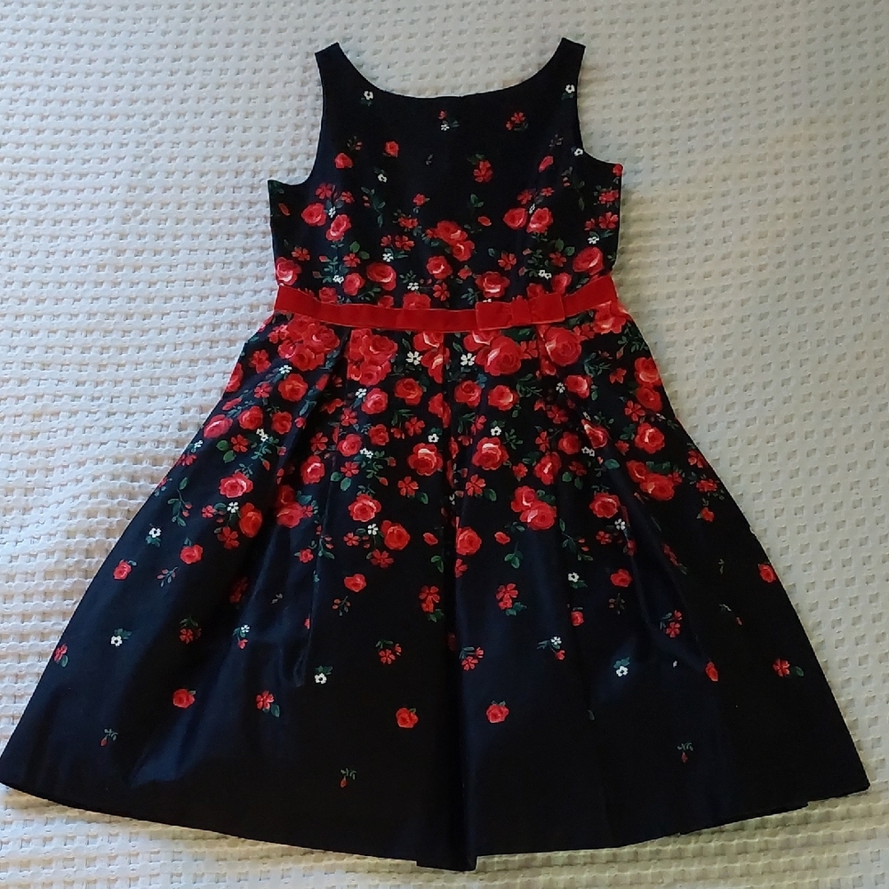 Janie and Jack Navy Dress with Red Floral Design